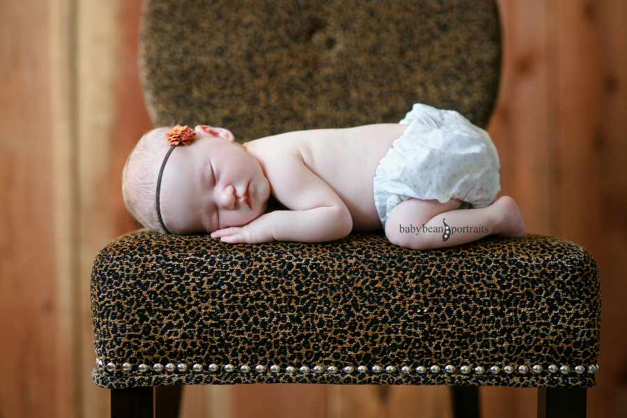 Lulu in Leopard