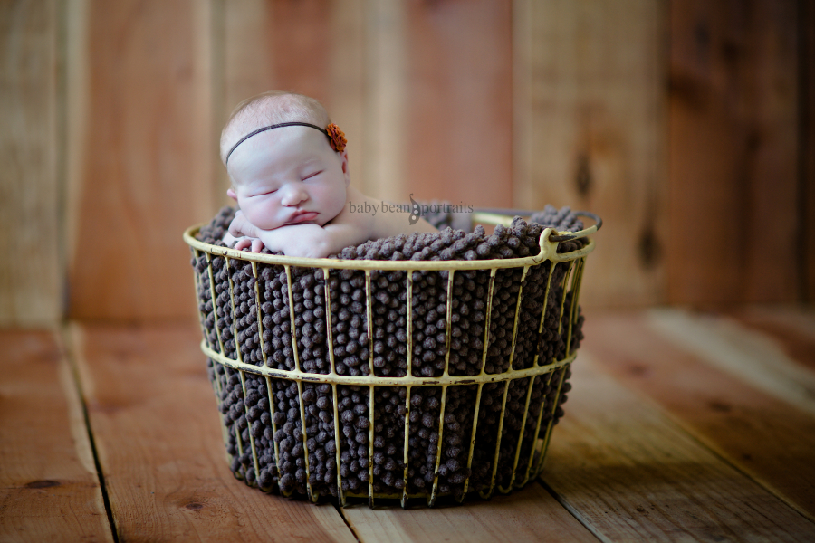 Little Egg