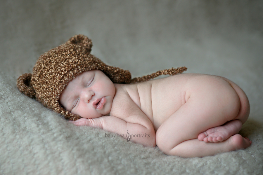 Little Curly Bear