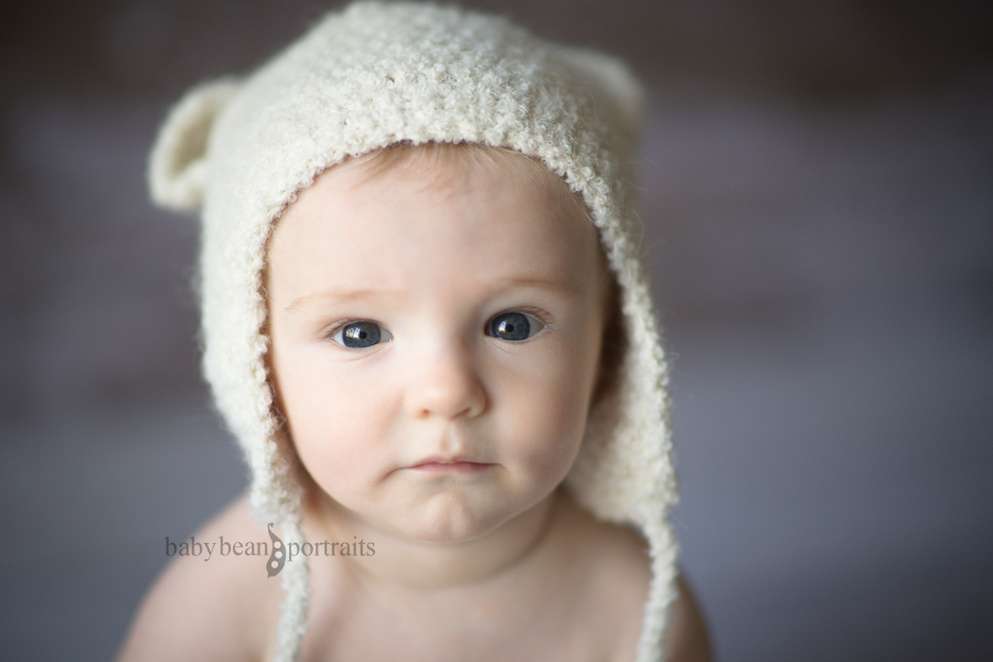 Honey Bear Honey Bear